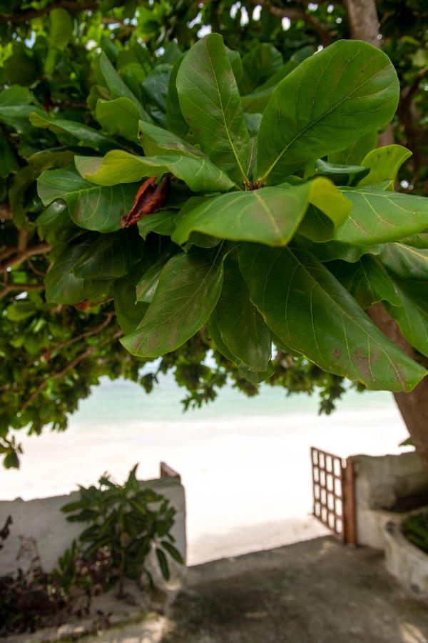 Uroa Beach Lodge Esterno foto